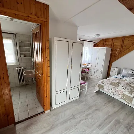 A Festo Vendeghaza / The Painter's Appartement